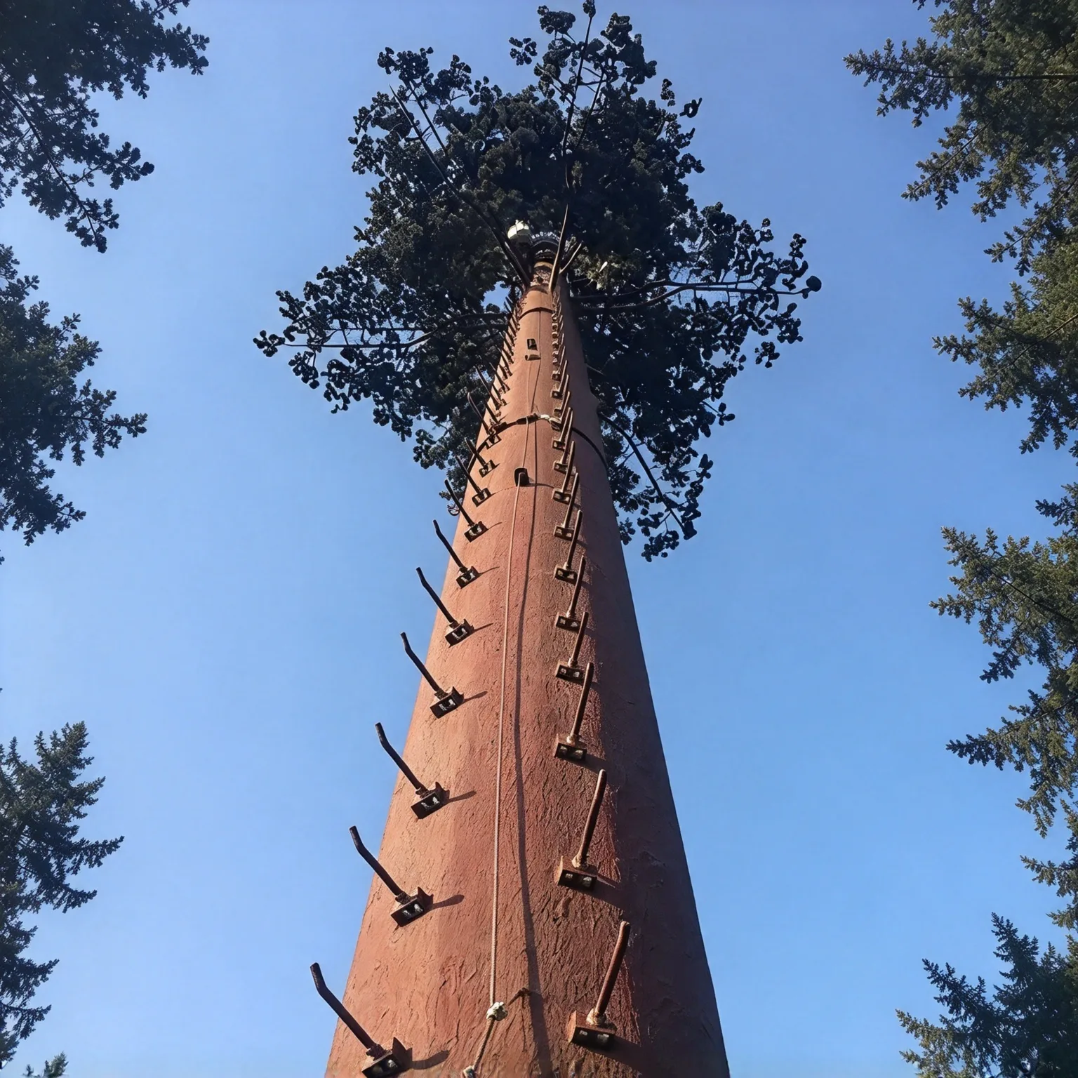 Bionic Tree Telecom Tower - Image 3
